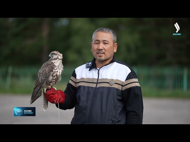 V Дүниежүзілік көшпенділер ойындарына қатысу үшін үздік аңшы құстар дайындалып жатыр