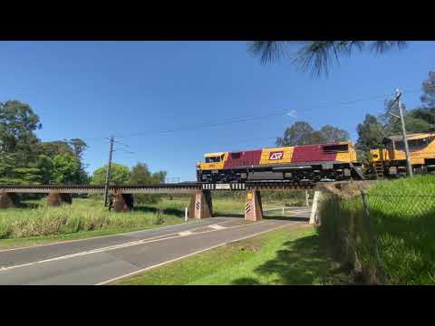 Triple Headed Spirit of the Outback and More!