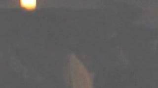 To The Steadfast by The Scene Aesthetic