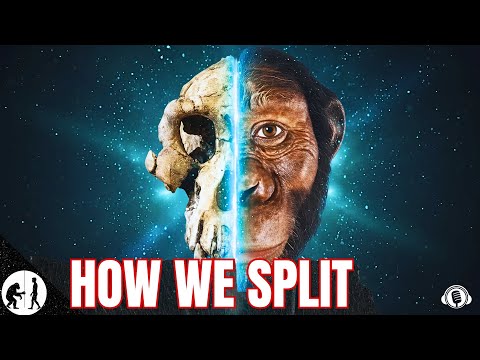 Why Chimps Didn’t Become Us | The SPLIT That Made Humans