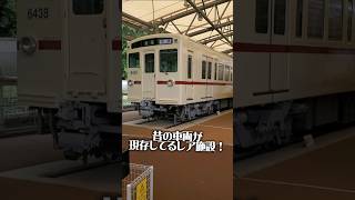 昔の車両が現存してるレア施設！？車掌体験や運転体験ができる最高のスポット！！#京王れーるランド #おすすめスポット #多摩動物公園  #京王線  #夏のおすすめスポット #家族向け#プラレール