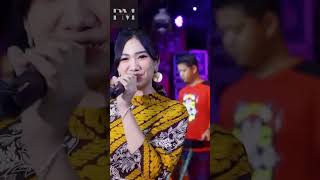 Download lagu MANUK DADALI - Adella Girls - OM ADELLA #adella mp3