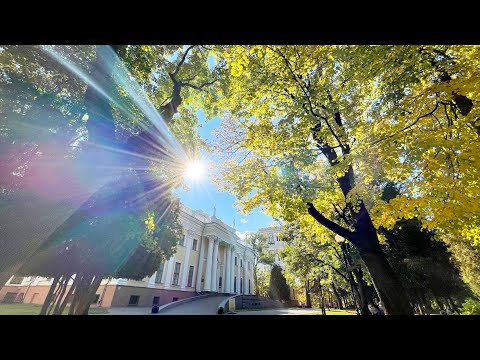 Осенний Гомель #ловитенастроение видео