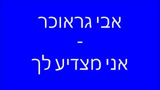 אבי גראוכר - אני מצדיע לך