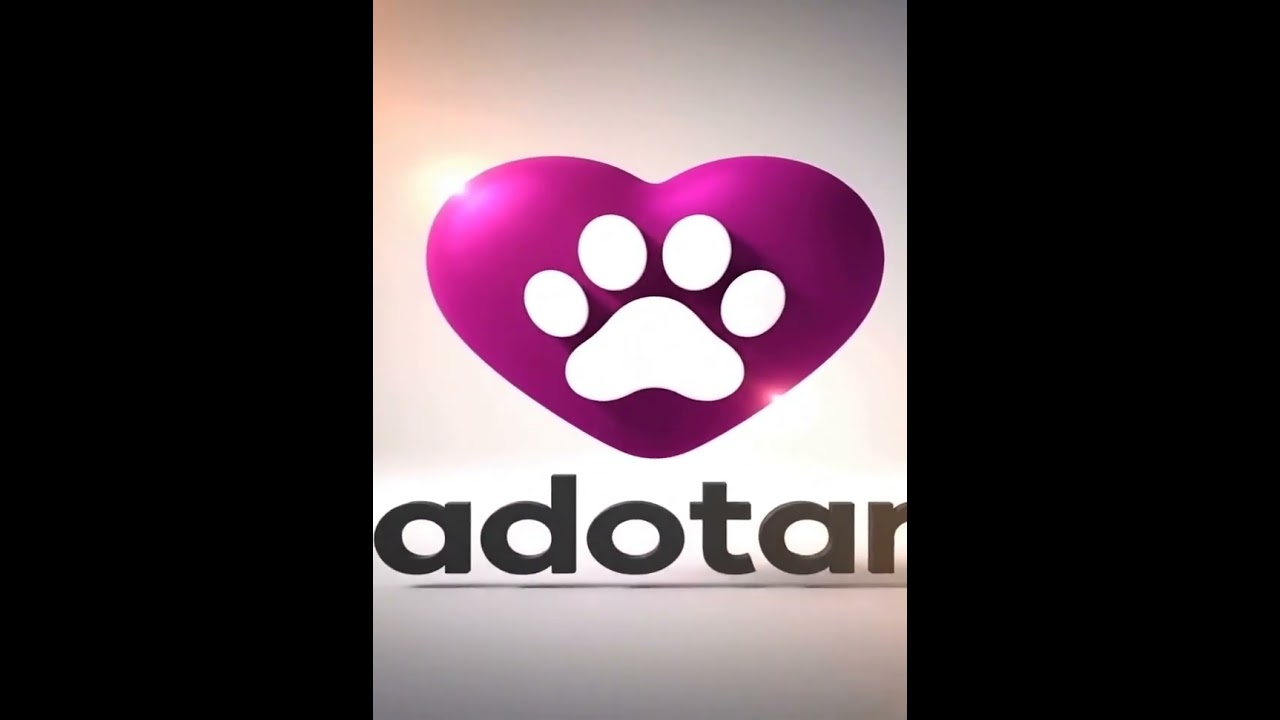 Cachorro raça SRD-ViraLata idade 1 ano nome Estrela