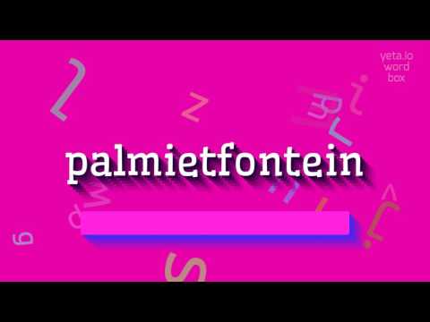 HOW TO SAY PALMIETFONTEIN? #palmietfontein