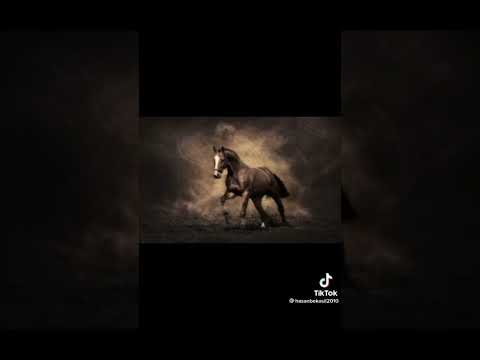 10 июня 2022 г.