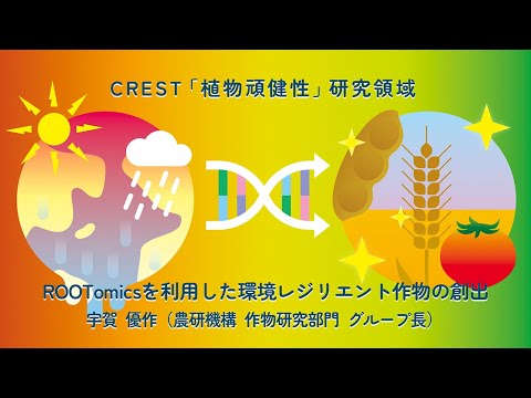 つる性植物の壁サポート: 考慮すべき 10 以上の独創的で創造的なアイデア  庭園