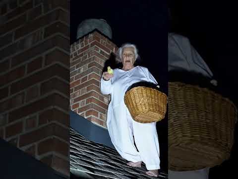 ¿Cómo salvó el hombre a los polluelos?