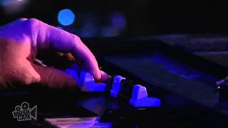 Steve Poltz - Everything About You (Live in Sydney) | Moshcam