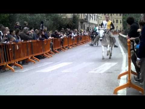 sassetta corsa degli asini 2013 Pandorabijoux