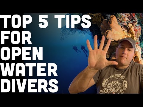 5 Tips For Beginner Open Water Scuba Divers