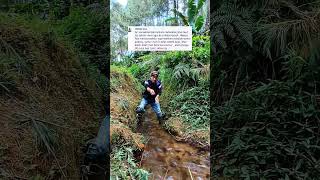 Download lagu percuma sekolah Tinggi #pedesaanindonesia #kampungsepi #tasikturunankidul mp3