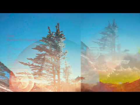 Teielte "Magnetic Soul/Magnetic Tree" FASRAT011 FULL ALBUM