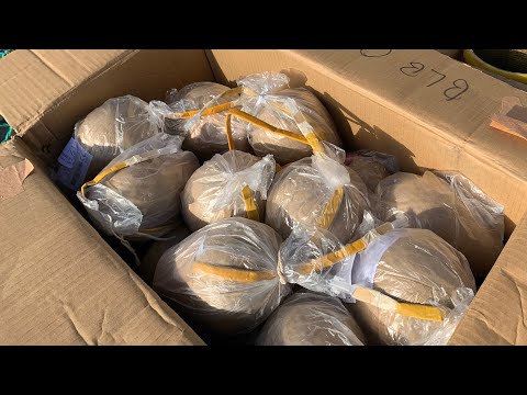 4 inch shell - White Blinker