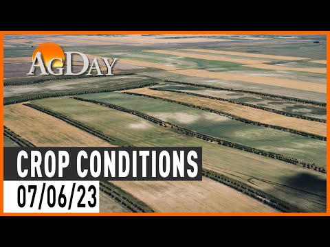 AgDay 07/06/23