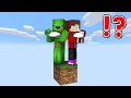 SKYBLOCK BUT HAVING FAMILY