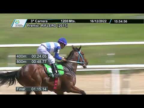 221216 c03 - BOY BROKOLIN HAHA - HIPODROMO LAS PIEDRAS