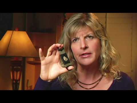 The Paw Project 2013 Official Trailer HD