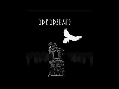 Play Video Youtube Video