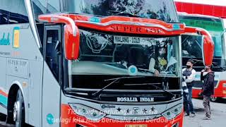 Download lagu Story Wa 30 Detik Bus Rosalia Indah... mp3