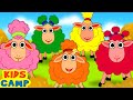 Five Cute Colorful Sheep Song Popular Nursery Rhymes Collection By KidsCamp