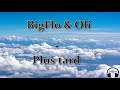 BigFlo & Oli - Plus Tard (PAROLES)