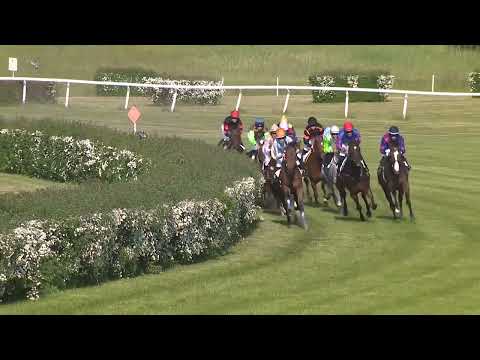 Dostihy Most 27. 5. 2023 - 8. dostih - Cena ředitele společnosti Hipodrom Most a.s.