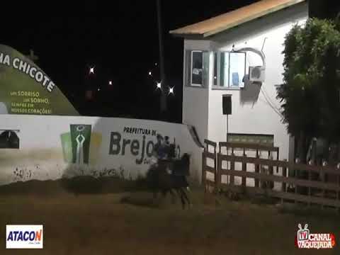 Cavalo nutela x cavalo raíz