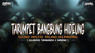 Download lagu DJ TAROMPET BANGBUNG HIDEUNG [KOLABORASI TARAWANGSA KARINDING] DJ ALVISENA RMX ft ARDI TAROMPET mp3