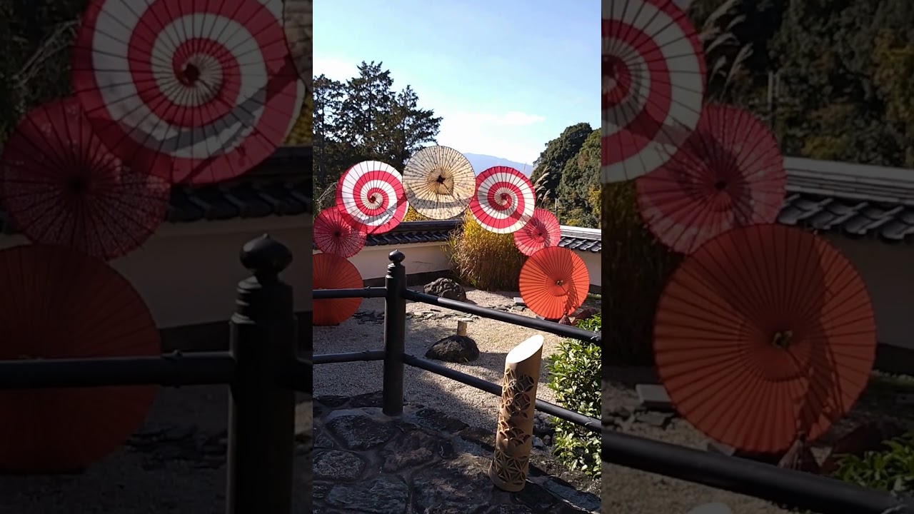 岡寺の秋（限定公開ショート動画）