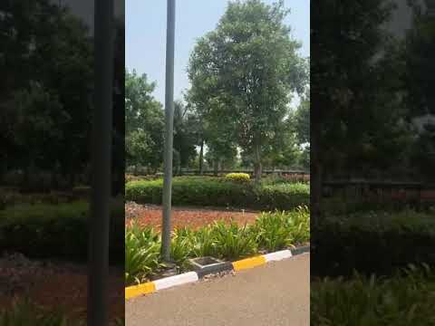 Walkthrough Walkthrough