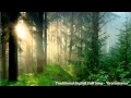 Traditional English Folk Song - "Greensleeves ...