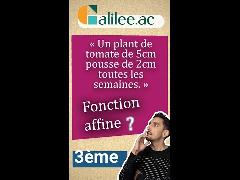 RECONNAITRE une Fonction AFFINE dans une SITUATION #1 - Exercice Corrigé - Maths Troisième