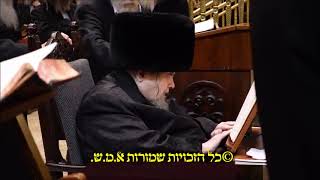 לאחר שבוע של ציפייה: כ''ק מרן אדמ"ר מבעלזא שליט"א בספירת העומר בהיכל ביהמ''ד הגדול אור לי' אייר פ''ו