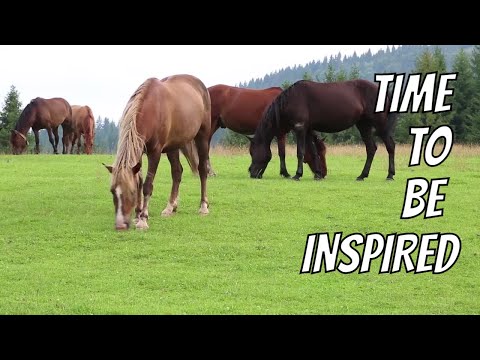 Inspired by Horses and Daffodils