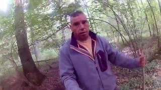 bivouac poulet frelon 2/2