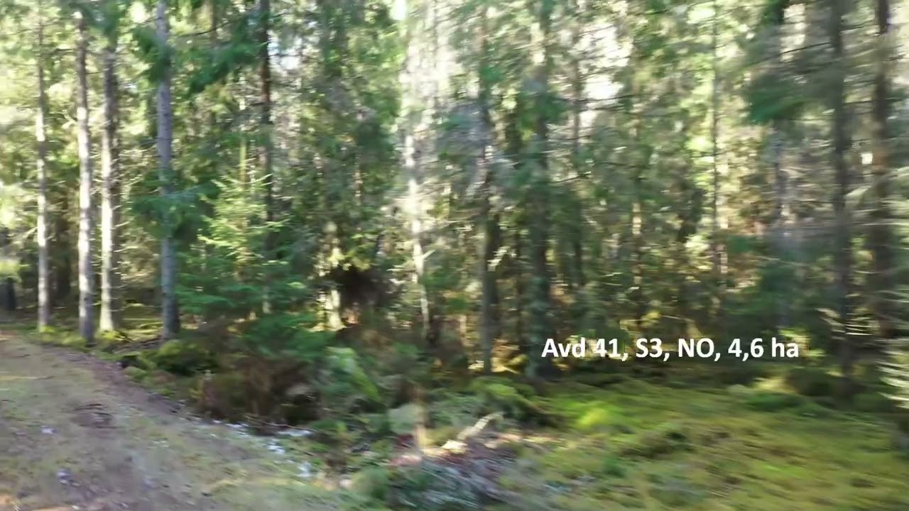 Gård med skogsbruk på VETLANDA ÄMMARYD 1:14 Vetlanda kommun - video