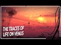 Life Beyond: Mysterious Traces of Extraterrestrial Life on Venus | Space DOCUMENTARY