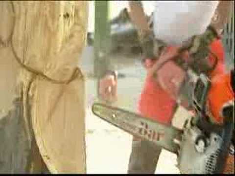 Immer Wieder Sonntags