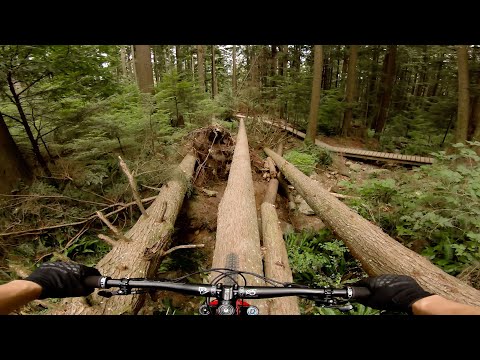 GoPro: Dave Herr - GoPro of the World Best Line Contest 2019 Finalist