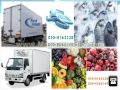 chiller van, chiller truck,reefer truck,refrigerated transport rental