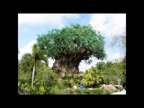 Tree of Life Area Loop