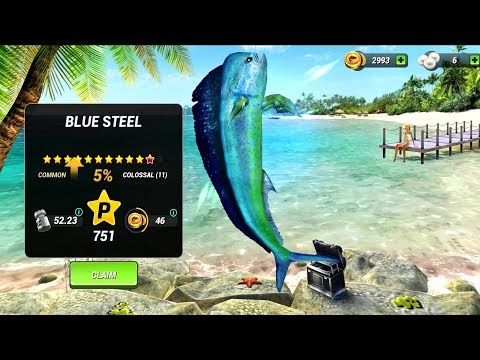 Fishing Clash: Catching Fish Game. Bass Hunting 3D Android Gameplay - YouTube