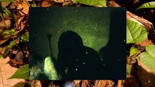 Ecco2K live/tokyo (GT-R, Black Boy, Cc, Fruit Bleed Juice, Don&#39;t Ask, AAA Powerline, Peroxide, Time)