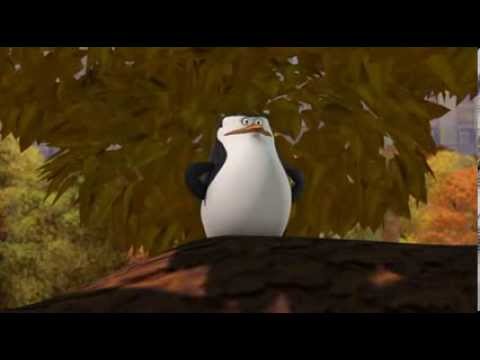 A madagaszkár pingvinjei - Fámt a vezér próba