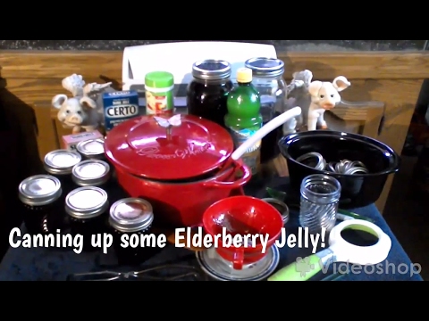 download lagu mp3 mp4 How To Use Dutch Jell Pectin, download lagu How To Use Dutch Jell Pectin gratis, unduh video klip How To Use Dutch Jell Pectin