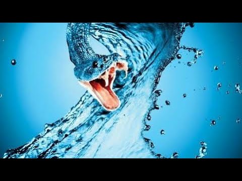 Ukugeza iDlozi lakho