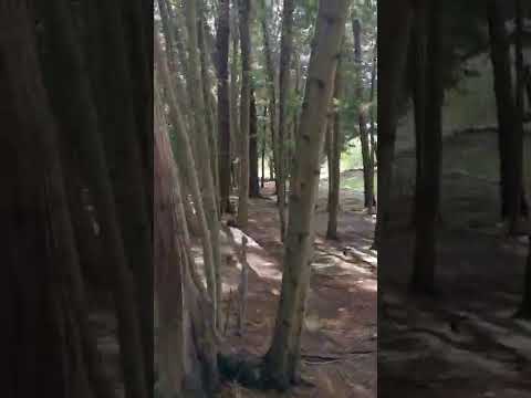 MOOV Festival venue walk through