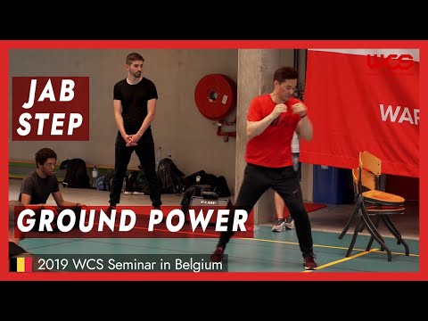Jab, Step and Ground power - DK Yoo